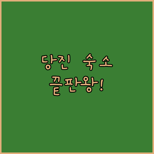 직접 다녀온 사람들이 추천하는 당진 ..