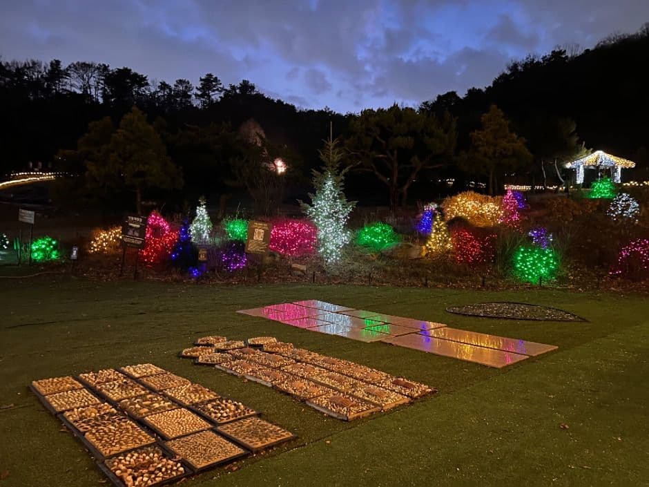 [서울 근교 여행지]산들소리 수목원 &amp; 낭만등불축제 후기