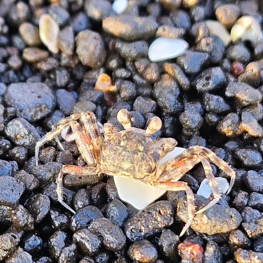 성산일출봉이 보이는 제주바다 건강해 안전해