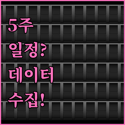 5주간의 개발 일정과 지역 데이터 수..