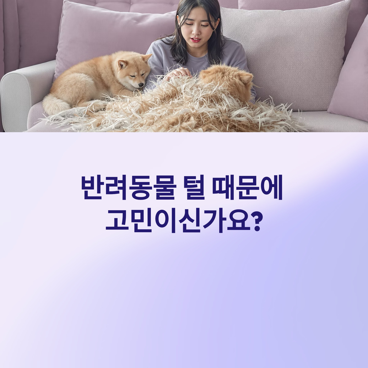 털투성이 집, 이제 그만