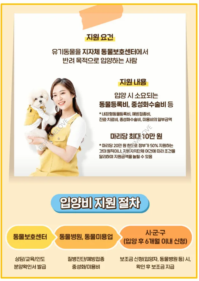 유기동물 입양 지원금 신청