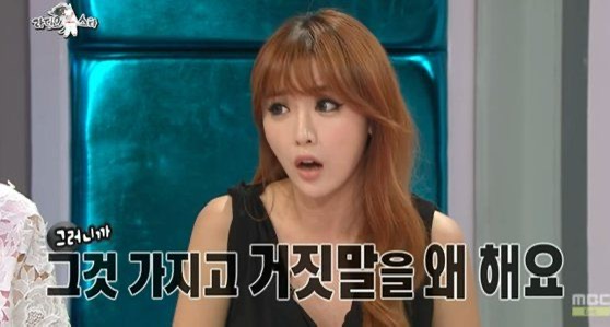 홍진영 논문 표절 논란