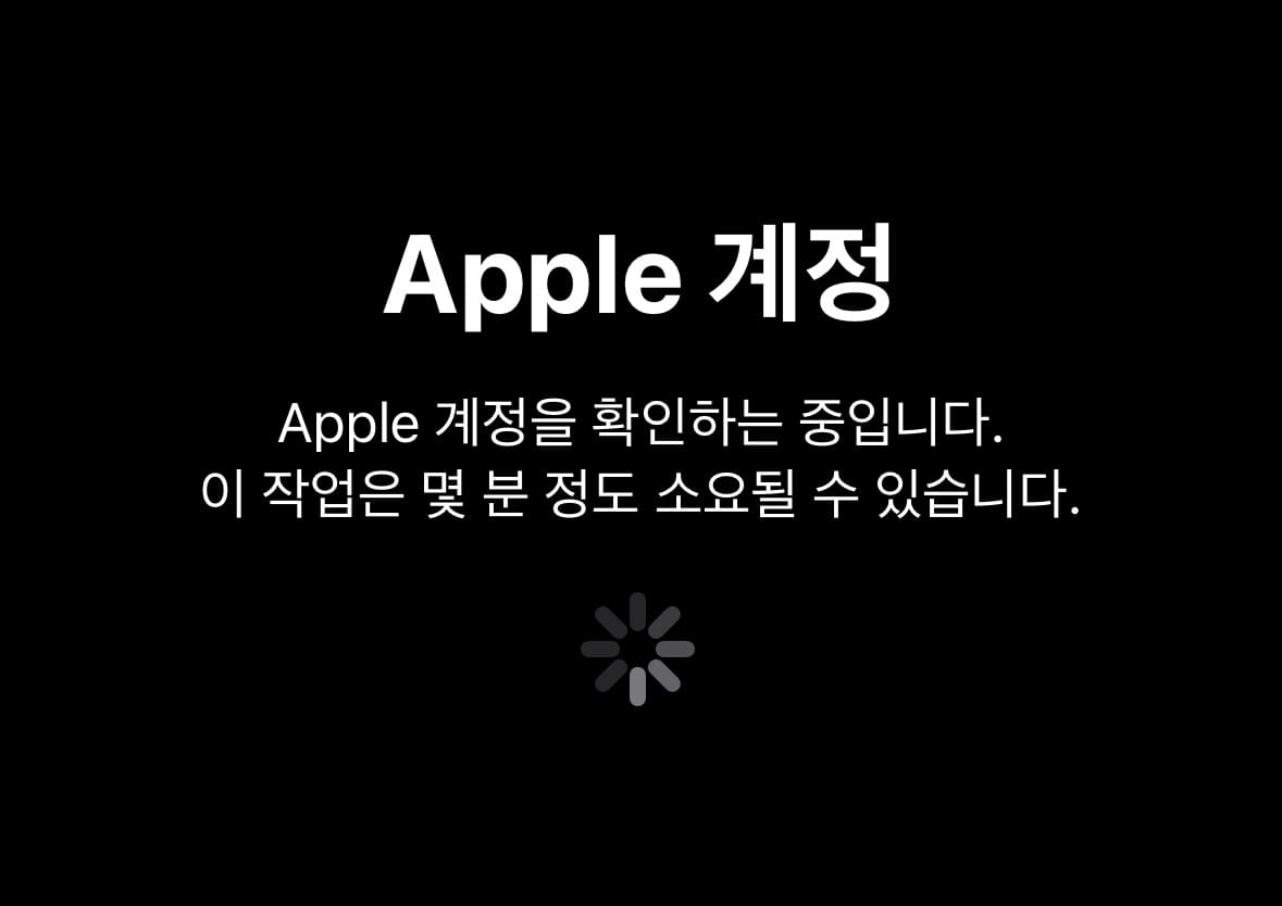 Apple 계정 확인중