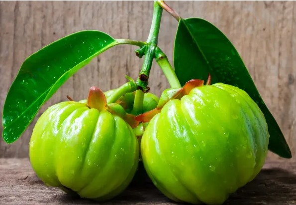 투비컷-효과-효능