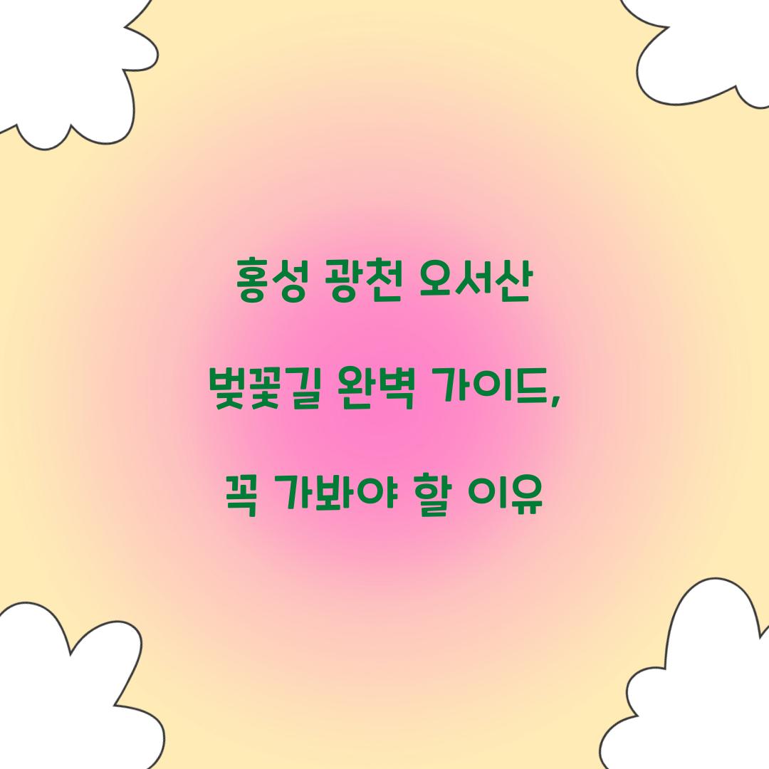 홍성 광천 오서산 벚꽃길