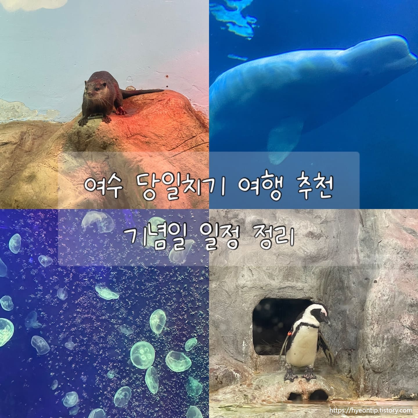 여수 당일치기 여행일정