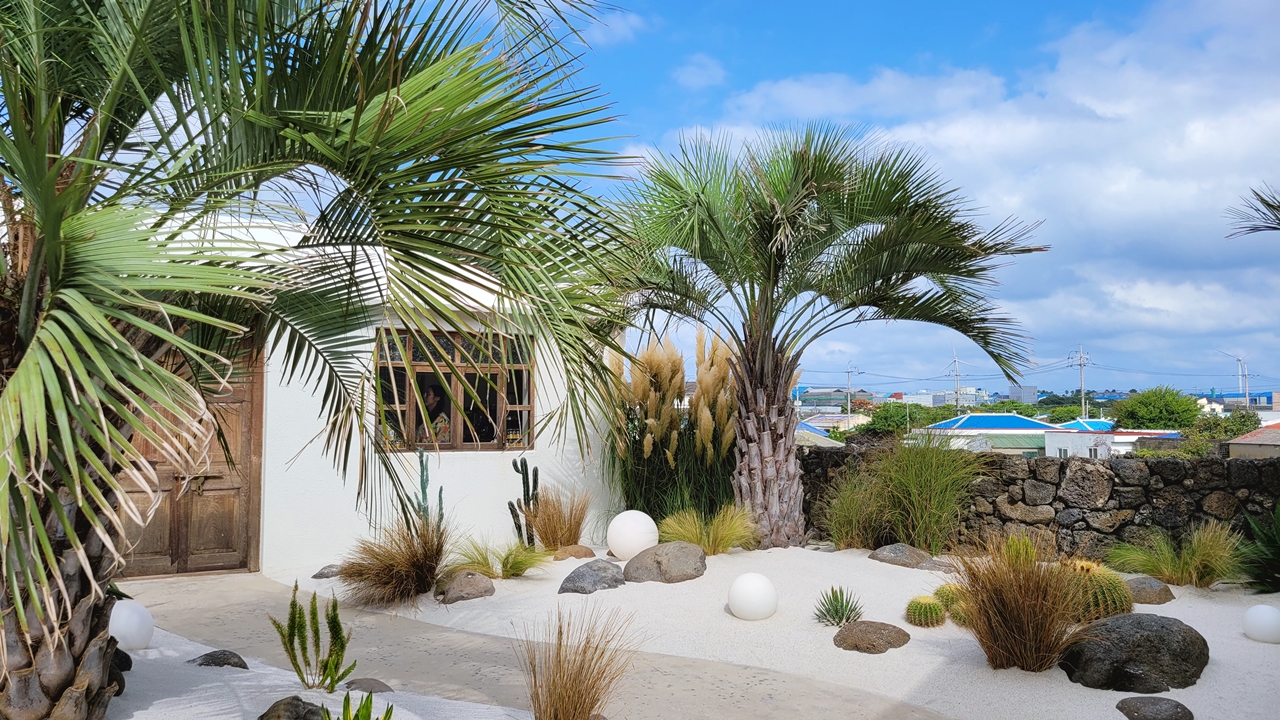 제주동쪽여행-감성카페-카페치즈태비