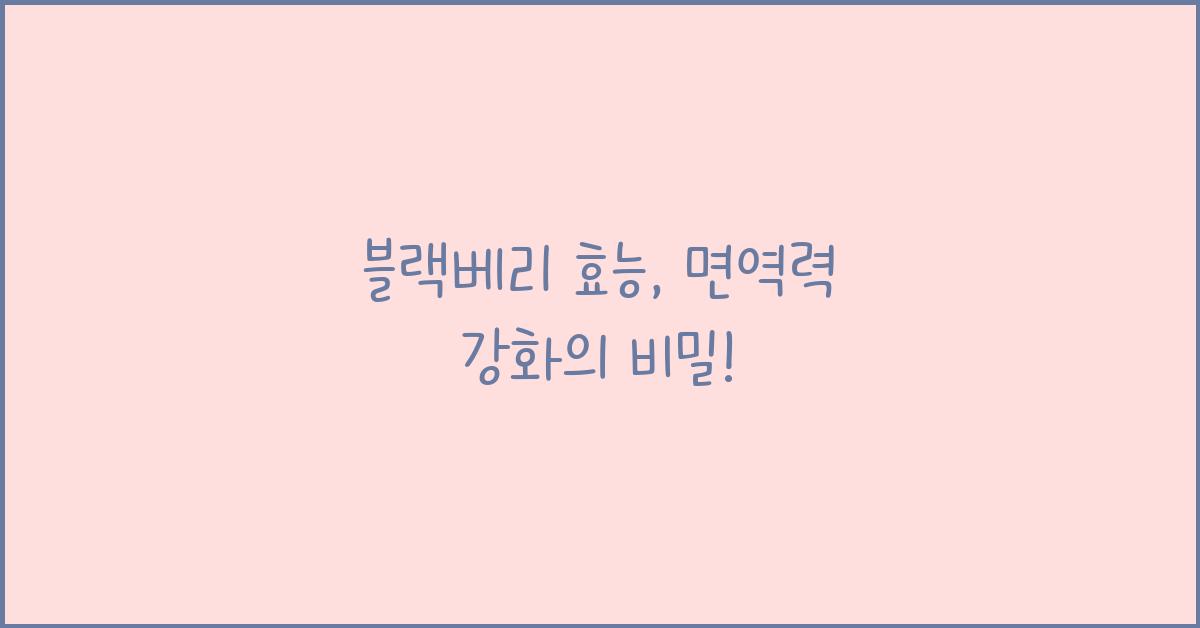 블랙베리 효능