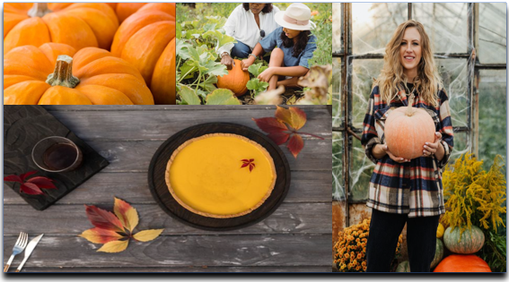 늙은 호박의 효능과 먹는법