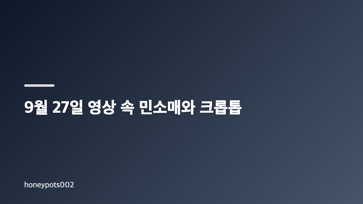 홍진영 크롭톱 SNS 영상과 댓글 근황