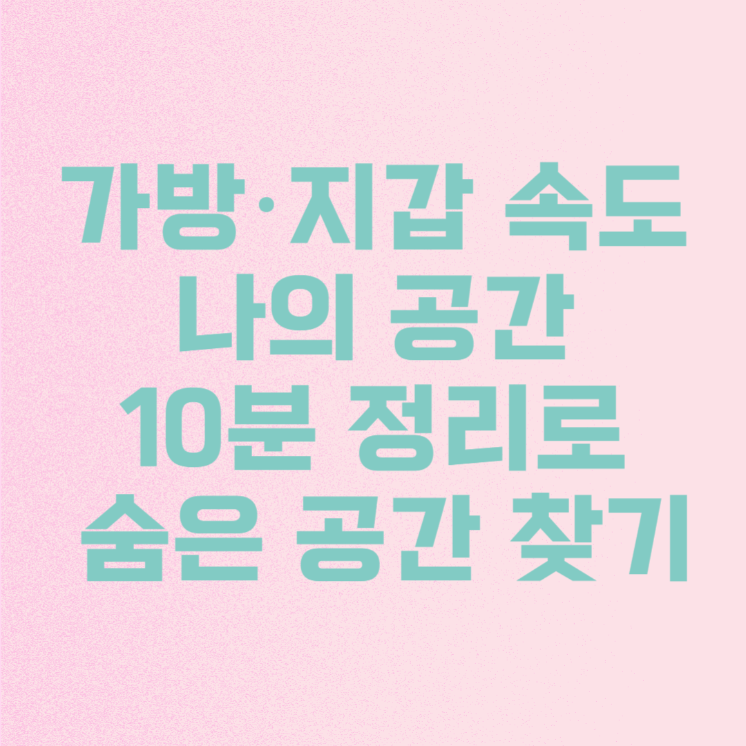 가방·지갑 속도 내 공간입니다|정리법