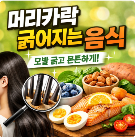 머리카락 굵어지는 음식