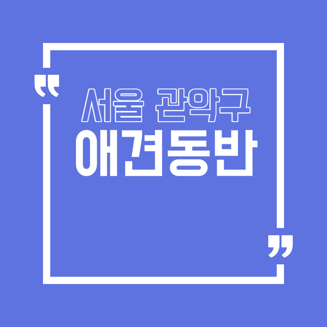 관악구 애견동반