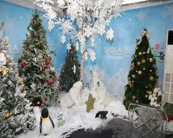 무안 연꽃축제37