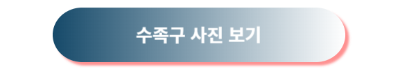 수족구, 수족구 증상, 수족구 초기 증상, 수족구 예방, 수족구 대처방법, 수족구 열, 수족구 수포