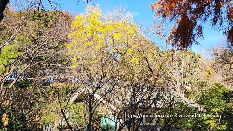 부산 충렬사 가을 풍경