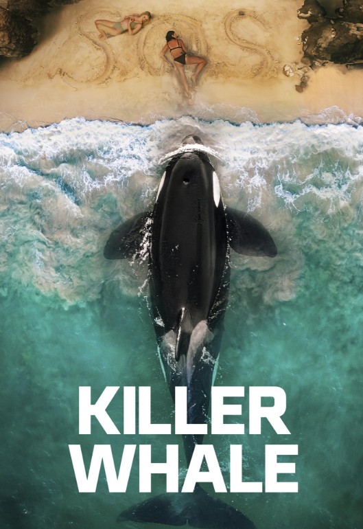 [영화 킬러 웨일 후기/리뷰] OTT 다시보기 보는곳 - 줄거리, 결말, 재밌나요? 재미 있다 vs 재미 없다