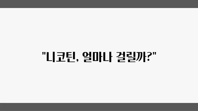 닅4닅4 검사 기살 버스패 닅4닅4