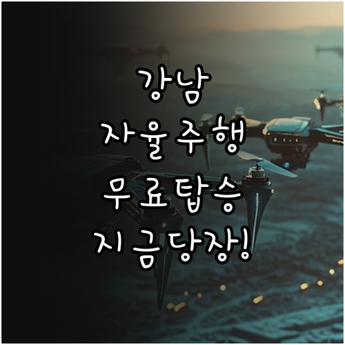 카카오T 앱으로 강남 자율주행 택시 ..