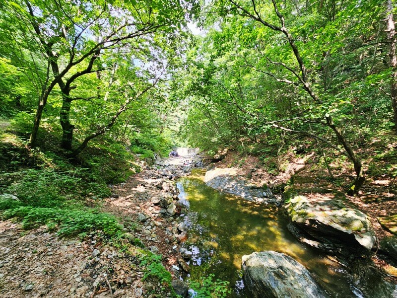 경기 남양주 비금계곡