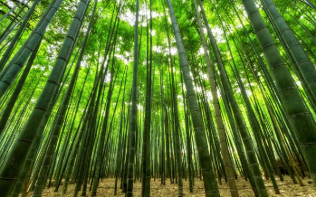 등기부등본 인터넷발급 2025 14