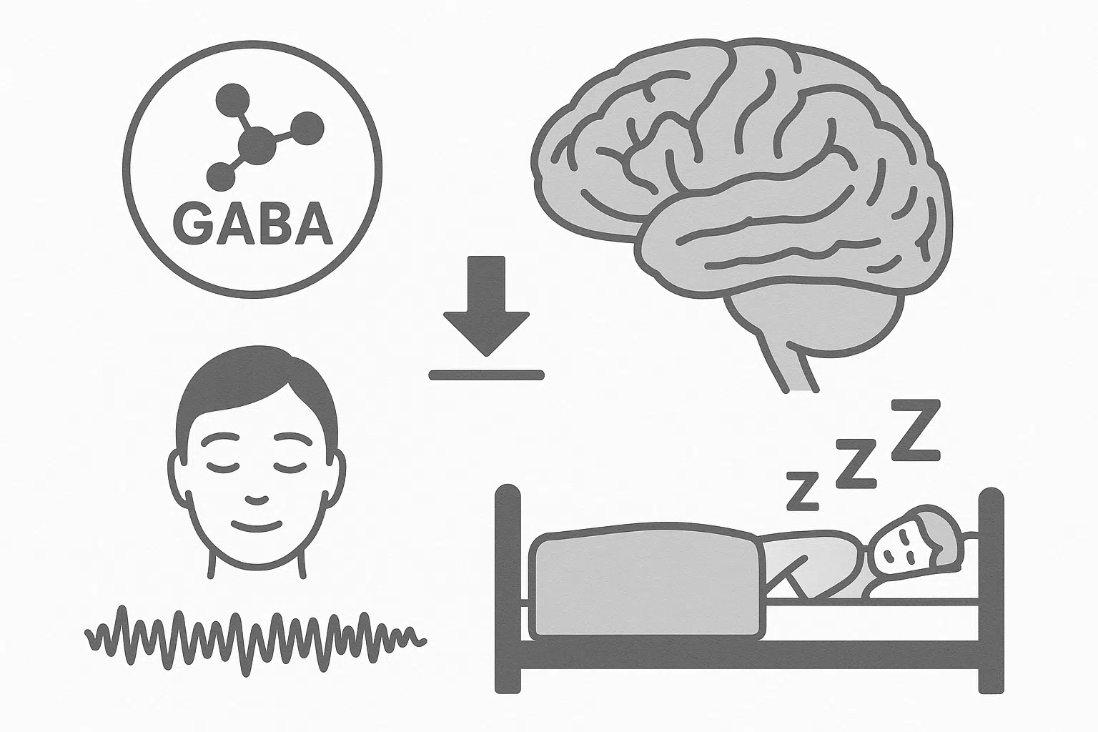 뇌 속 신경 전달물질 GABA 아이콘과 억제&middot;진정 효과를 표현