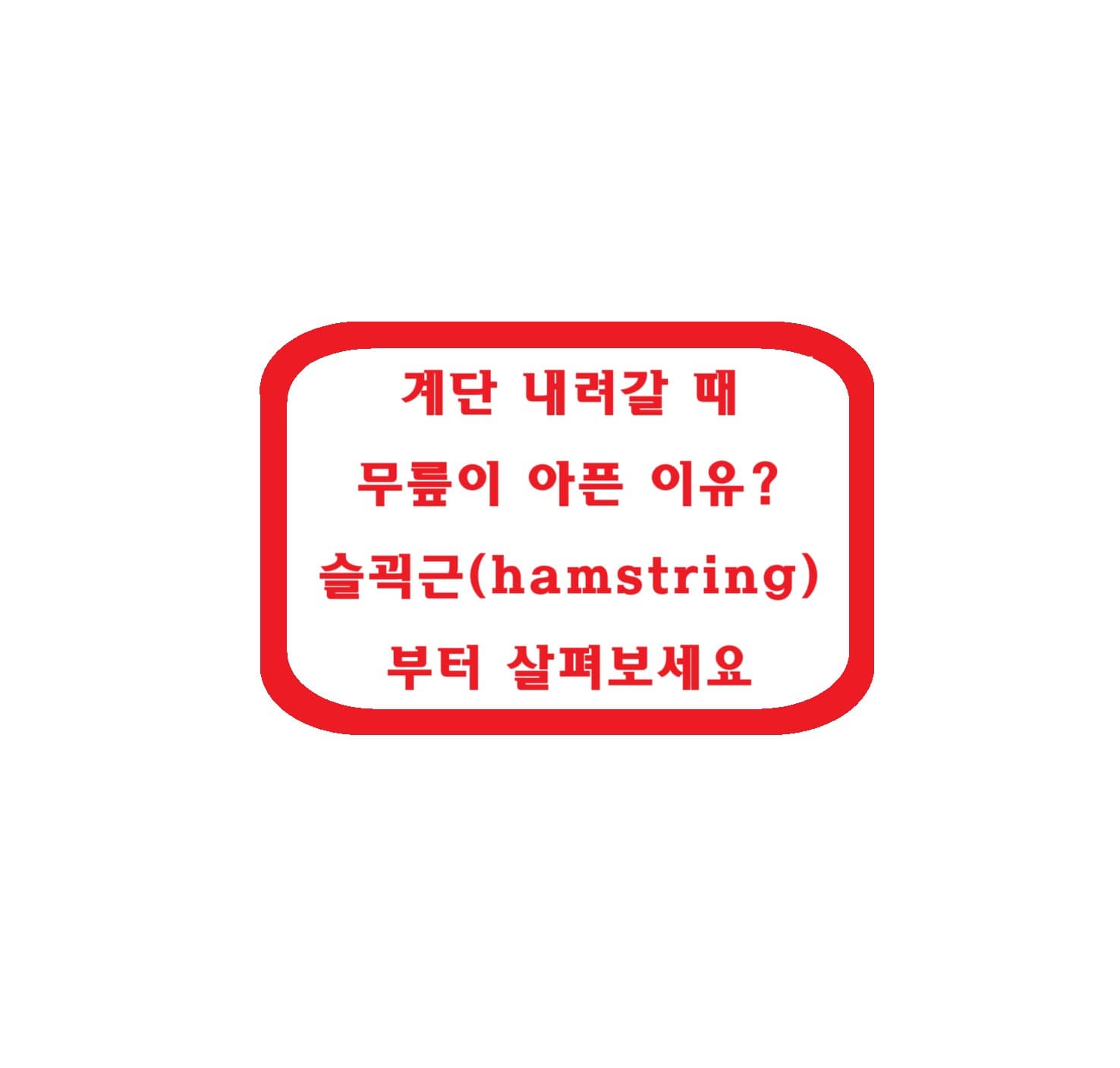 계단 내려갈 때 무릎이 아픈 이유? 슬괵근부터 살펴보세요!