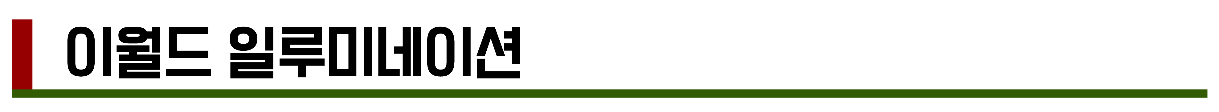 2024년 11월, 12월 축제 총정리