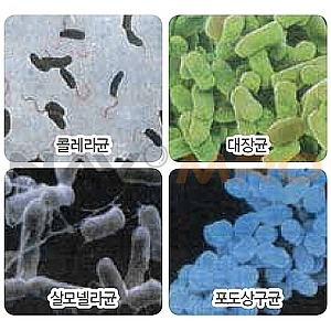 스마트폰 청결&amp;#44; 어떻게 지켜야 할까?옮기는균들