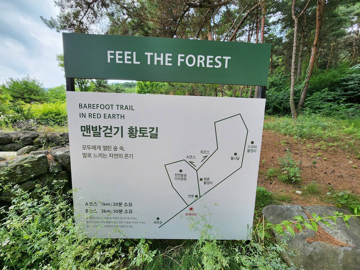 칠곡 가산수피아