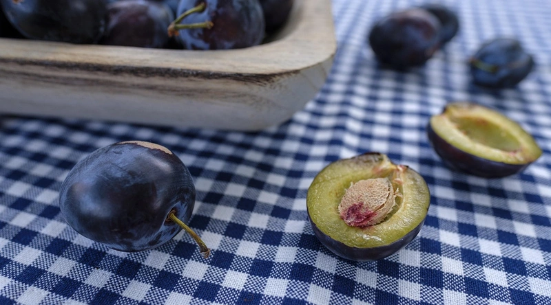 마무리 및 결론