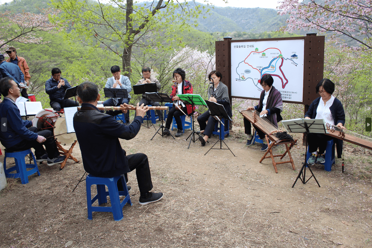 금산 보곡산골 산벚꽃 축제