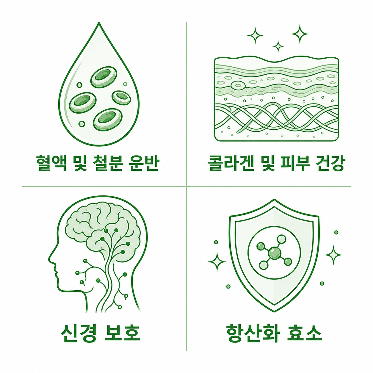 구리미네랄역할-인포그래픽-미량미네랄건강효능