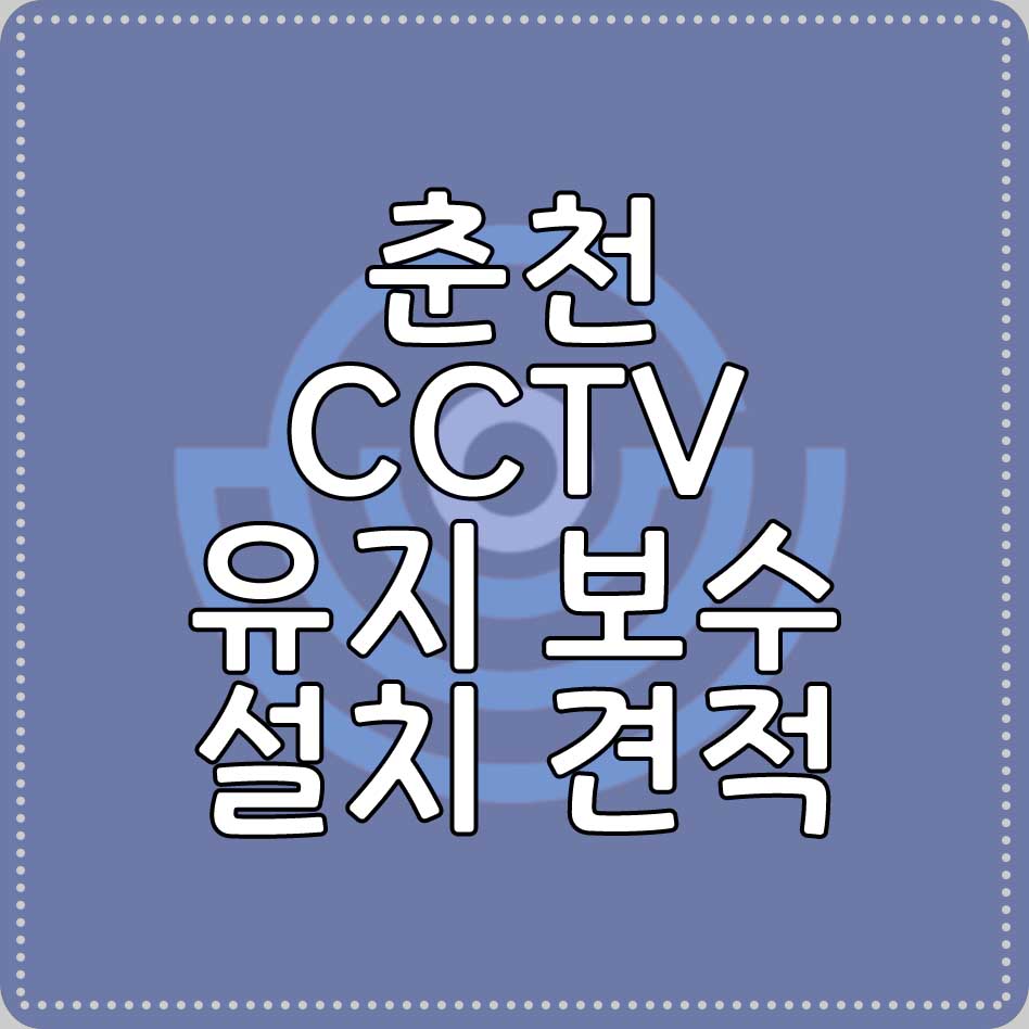 CCTV 유지 보수 설치