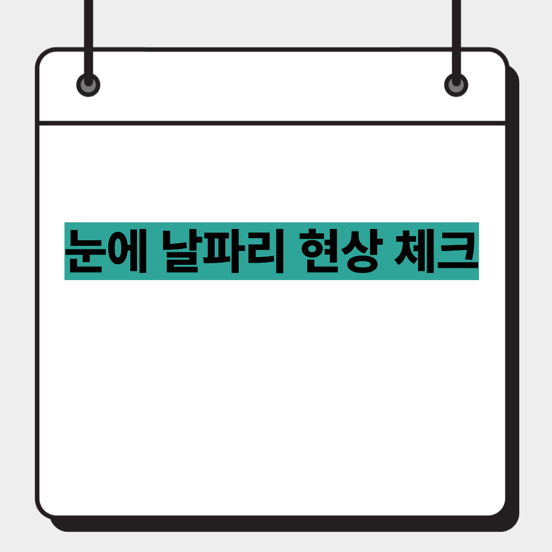 눈에 날파리 현상 체크 1