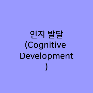 인지 발달 (Cognitive Development)