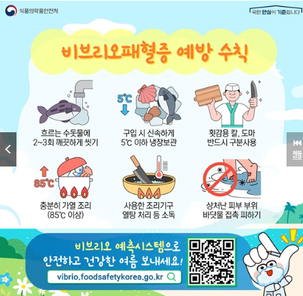 비브리오패혈증 예방수칙 카드뉴스