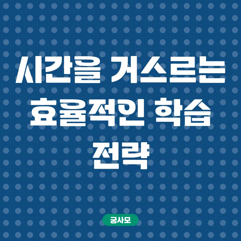 사이버대학 활용 사서교사 자격증 취득_2