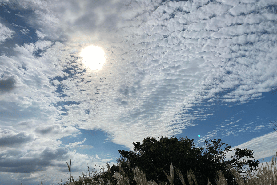 제주도 숨은 힐링 스팟