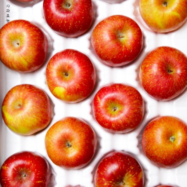 사과 효능│아침 사과 효능 알고 드세요!