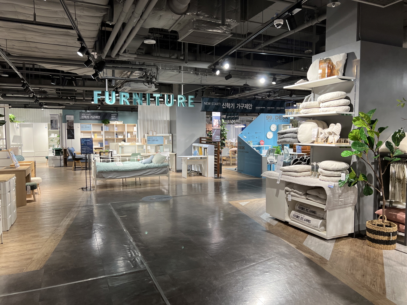 모던하우스세종