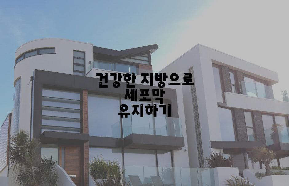 건강한 지방으로 세포막 유지하기