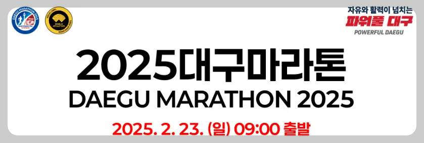 2025 대구마라톤 대회