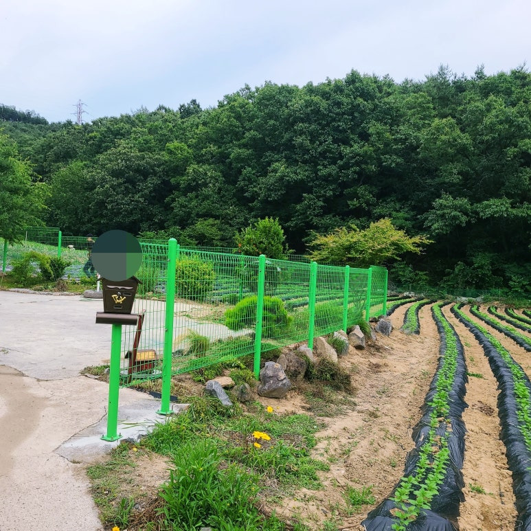 전원주택 울타리 구미, 김천, 왜관, 칠곡 휀스시공