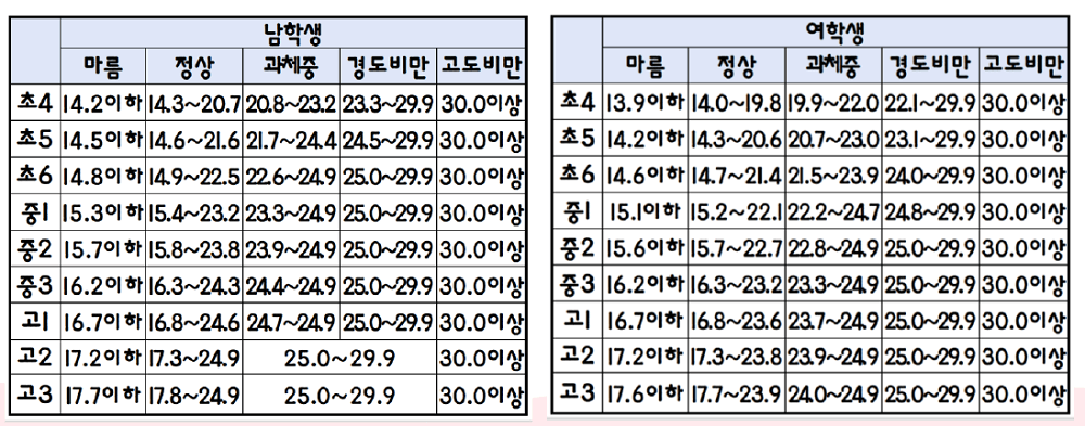 체질량지수-평가-기준표