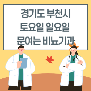 경기도 부천시 토요일 일요일 비뇨기과 진료 문여는 병원 리스트