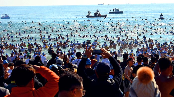 해운대 북극곰축제