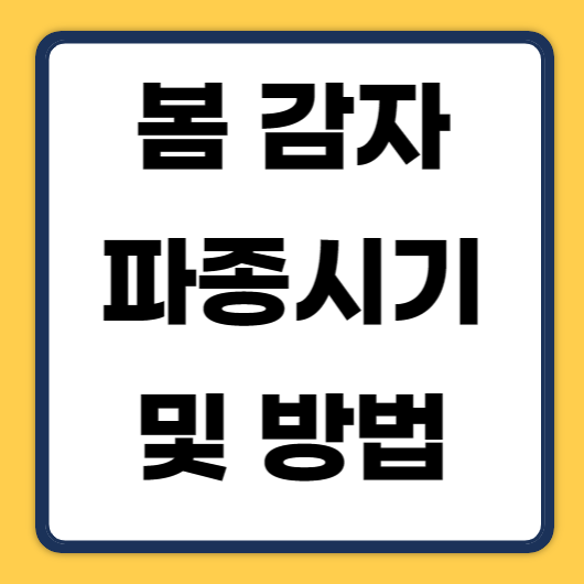 봄감자파종시기대표