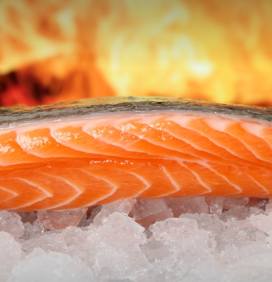 신장에 좋은 음식